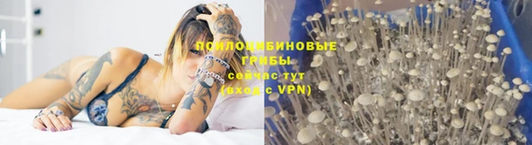 каннабис Нефтекумск