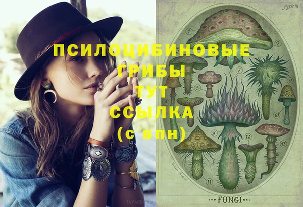а пвп мука Нея