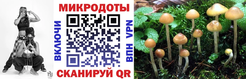 купить сайты Краснообск ОМГ ОМГ зеркало Галлюциногенные грибы Psilocybe