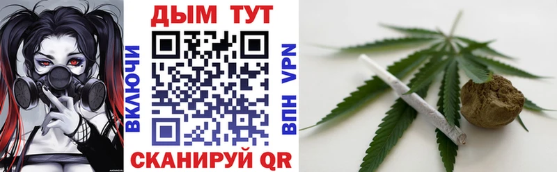 Бошки Шишки план  Краснообск 